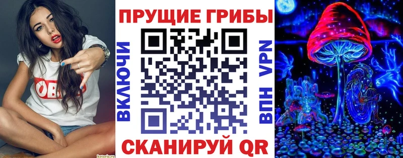 Галлюциногенные грибы Psilocybine cubensis Когалым
