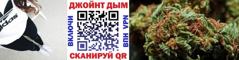 Конопля сатива  Когалым 
